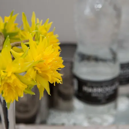 Callender House 住宿加早餐酒店 哈罗盖特